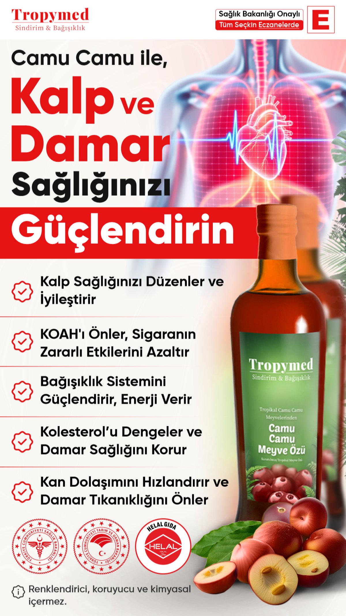 Promotional Image 1